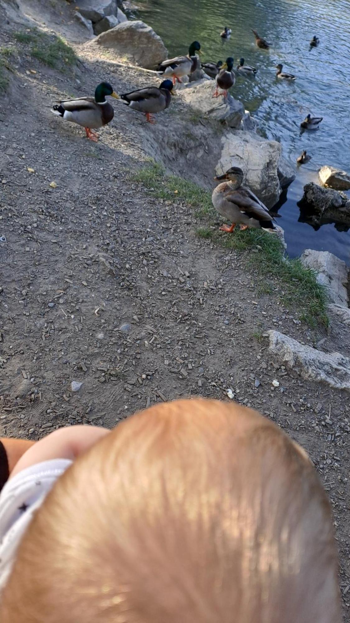 Vacances En Tout Tranquillite A فيركورين المظهر الخارجي الصورة